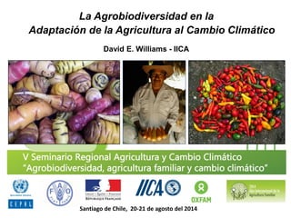La Agrobiodiversidad en la Adaptación de la Agricultura al Cambio Climático 
David E. Williams - IICA 
Santiago de Chile, 20-21 de agosto del 2014  