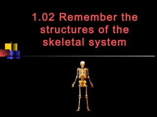 1.02 Remember the
  structures of the
  skeletal system
 