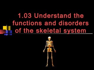 1.03 Understand the
functions and disorders
 of the skeletal system
 
