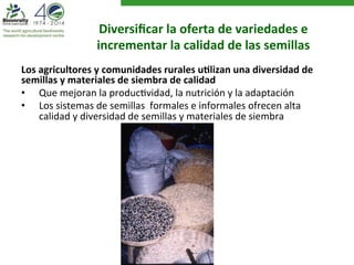Diversificar 
la 
oferta 
de 
variedades 
e 
incrementar 
la 
calidad 
de 
las 
semillas 
Los 
Semillas 
agricultorems 
para 
iyn 
icmoizmaru 
enl 
irdieasgdoe 
s 
rurales 
u?lizan 
una 
diversidad 
de 
semillas 
y 
materiales 
de 
siembra 
de 
calidad 
• Que 
mejoran 
la 
producAvidad, 
la 
nutrición 
y 
la 
adaptación 
• Los 
sistemas 
de 
semillas 
formales 
e 
informales 
ofrecen 
alta 
calidad 
y 
diversidad 
de 
semillas 
y 
materiales 
de 
siembra 
 