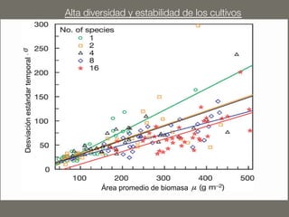 Alta diversidad y estabilidad de los cultivos 
Desviación estándar temporal Área promedio de biomasa 
 