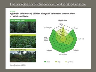 Los servicios ecosistémicos y la biodiversidad agrícola 
 