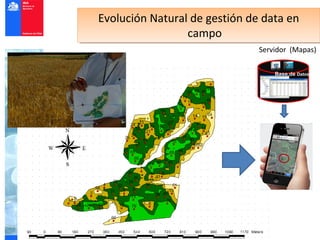 Evolución Natural de gestión de data en
Evolución Natural de gestión de data en
                 campo
                  campo
                              Servidor (Mapas)

                                  Base de Datos
 
