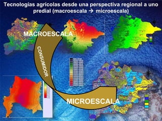 Tecnologías agrícolas desde una perspectiva regional a uno
          predial (macroescala  microescala)



       MACROESCALA
            CON
                S
              UMID
                OR




                       MICROESCALA
 
