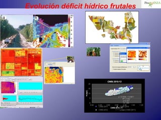 Evolución déficit hídrico frutales
                   Plano de zonas de riego
 