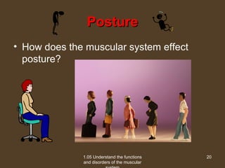 1.05 understand the_functions_and_disorders_of_the_muscular_system ...