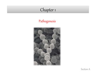Chapter 1
Pathogenesis
Section A
 