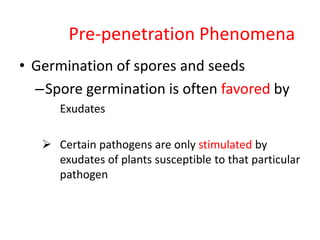 Prepenetration Phenomena
Pre-penetration Phenomena
Uredospores of a rust fungus next to
open stomata.
A rust uredospore th...