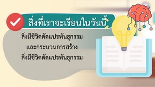 13
สิ่งมีชีวิตดัดแปรพันธุกรรม
และกระบวนการสร้าง
สิ่งมีชีวิตดัดแปรพันธุกรรม
สิ่งที่ดราจะดรียนในวันนี้
 