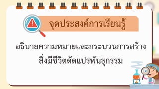 อธิบายความหมายและกระบวนการสร้าง
สิ่งมีชีวิตชัชแปรพันธุกรรม
จุชประสงค์การดรียนรู้
 
