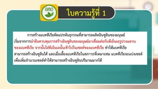 19
ใบความรู้ที่ 1
การสร้างแบคทีเรียดัดแปรพันธุกรรมที่สามารถผลิตอินซูลินของมนุษย์
เริ่มจากการนายีนควบคุมการสร้างอินซูลินของมนุษย์มาเชื่อมต่อกับดีเอ็นเอรูปวงแหวน
ของแบคทีเรีย จากนั้นใส่ดีเอ็นเอนั้นเข้าไปในเซลล์ของแบคทีเรีย ทาให้แบคทีเรีย
สามารถสร้างอินซูลินได้ และเมื่อเลี้ยงแบคทีเรียในสภาวะที่เหมาะสม แบคทีเรียจะแบ่งเซลล์
เพื่อเพิ่มจานวนเซลล์ทาให้สามารถสร้างอินซูลินปริมาณมากได้
 