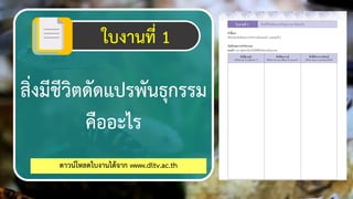 ใบงานที่ 1
สิ่งมีชีวิตชัชแปรพันธุกรรม
คืออะไร
ชาวน์โหลชใบงานไช้จาก www.dltv.ac.th 37
 