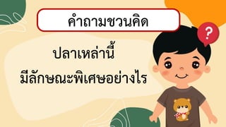 5
กิจกรรมท้าทายความสามารถ
ลองต่ออักษรปริศนา
ปลาเหล่านี้
มีลักษณะพิเศษอย่างไร
คาถามชวนคิช
 