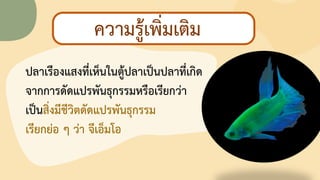 8
กิจกรรมท้าทายความสามารถ
ลองต่ออักษรปริศนา
ปลาดรืองแสงที่ดห็นในตู้ปลาดป็นปลาที่ดกิช
จากการชัชแปรพันธุกรรมหรือดรียกว่า
ดป็นสิ่งมีชีวิตชัชแปรพันธุกรรม
ดรียกย่อ ๆ ว่า จีดอ็มโอ
ความรู้ดพิ่มดติม
 