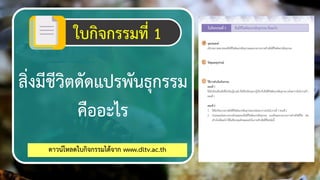 ใบกิจกรรมที่ 1
สิ่งมีชีวิตชัชแปรพันธุกรรม
คืออะไร
ชาวน์โหลชใบกิจกรรมไช้จาก www.dltv.ac.th 9
 