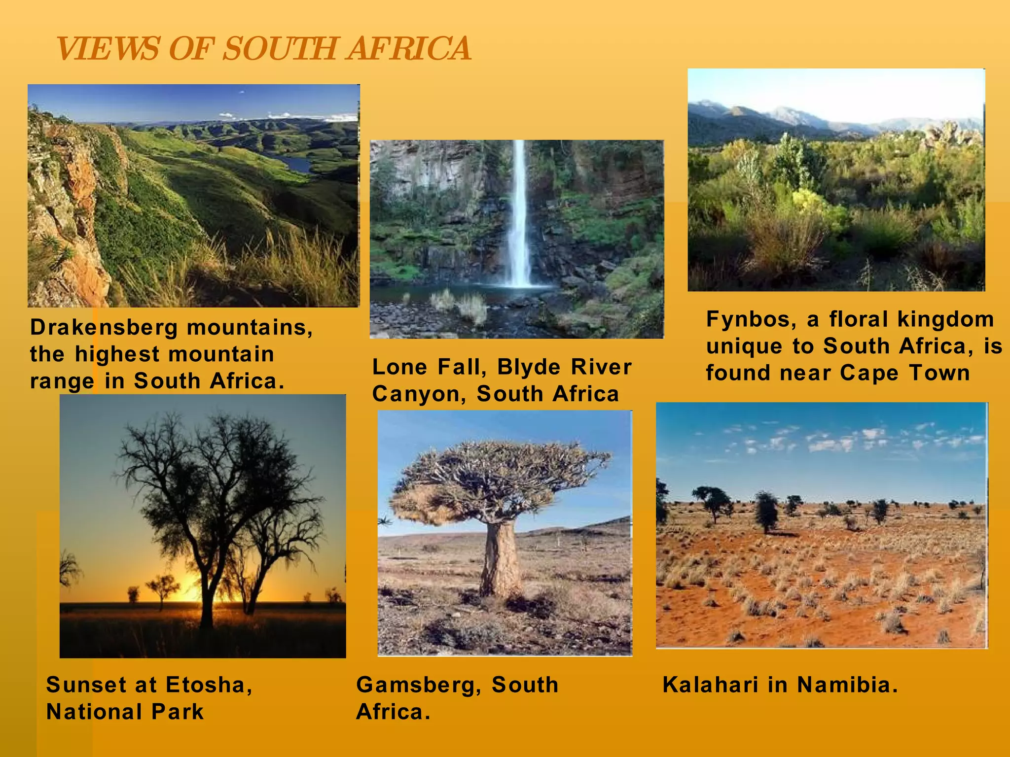 VIEWS OF SOUTH AFRICA Drakensberg mountains, the highest mountain range in South Africa. Fynbos, a floral kingdom unique to South Africa, is found near Cape Town Kalahari in Namibia. Gamsberg, South Africa. Sunset at Etosha, National Park Lone Fall, Blyde River Canyon, South Africa 