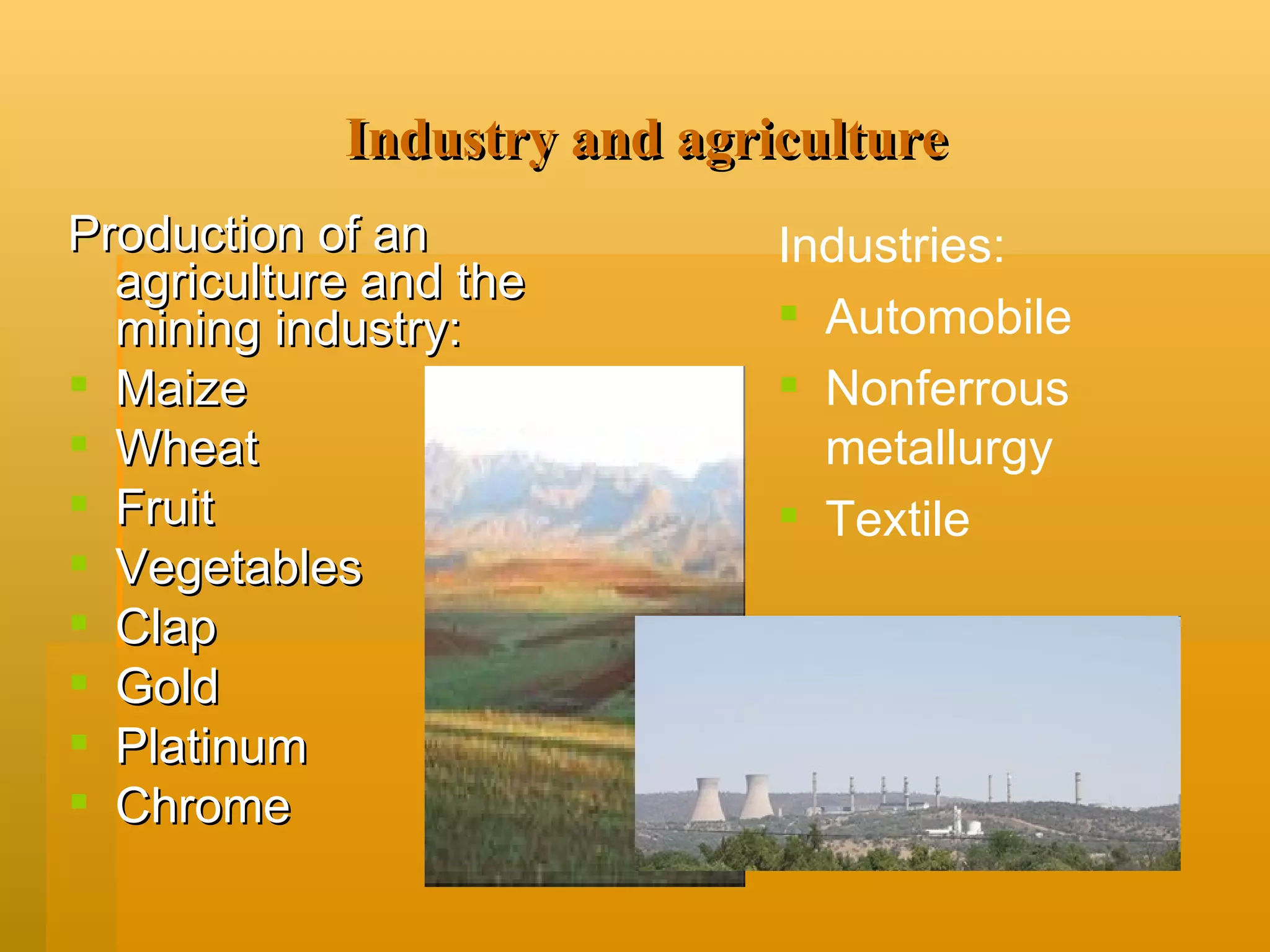 Industry and agriculture Production of an agriculture and the mining industry: Maize Wheat Fruit Vegetables Clap Gold Platinum Chrome Industries: Automobile  Nonferrous metallurgy Textile 