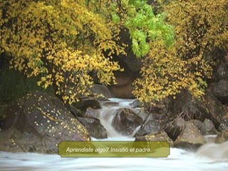 Aprendiste algo? Insistió el padre. 