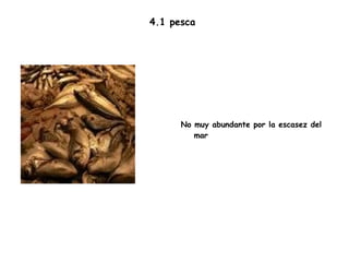 4.1 pesca  No muy abundante por la escasez del mar 