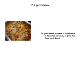 7.1 gastronomía La gastronomía proviene principalmente de las zonas cercanas, el plato más típico es el Gulash. 