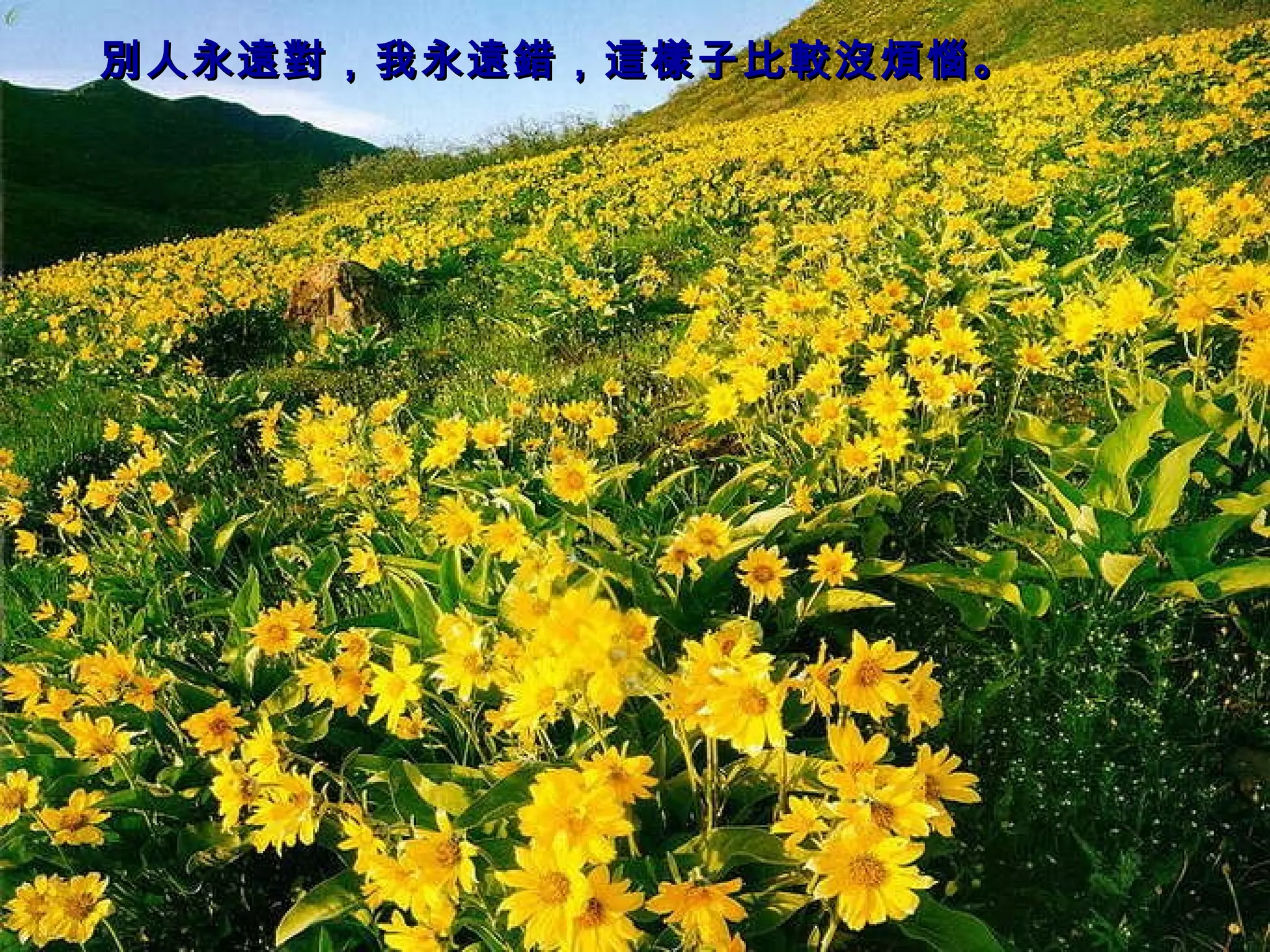 別人永遠對，我永遠錯，這樣子比較沒煩惱。   