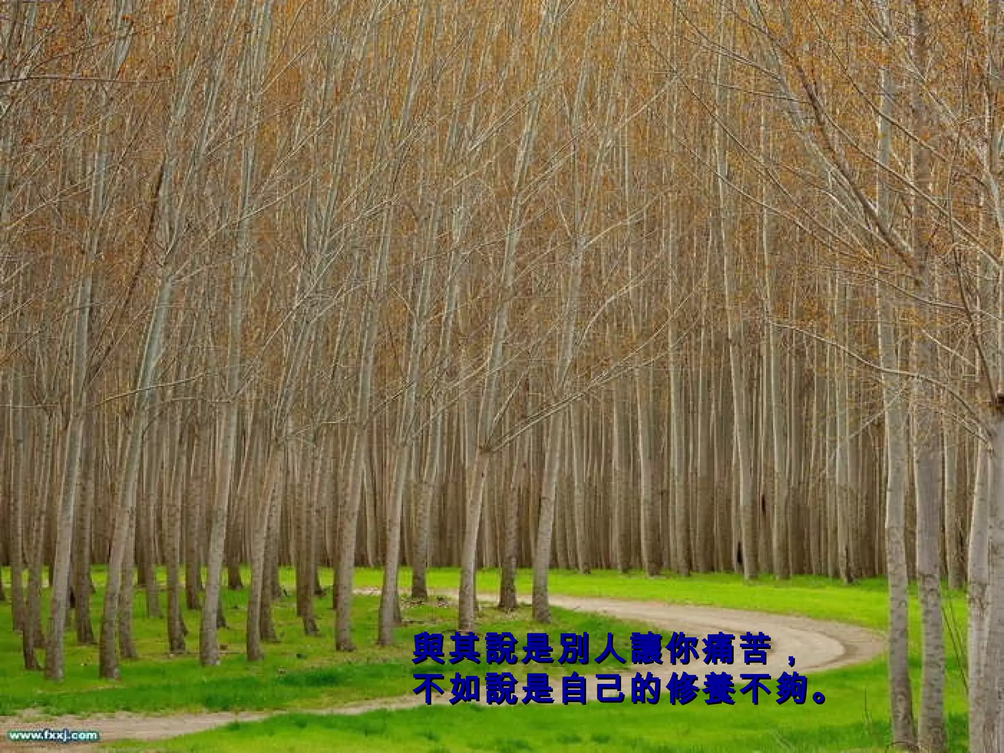 與其說是別人讓你痛苦， 不如說是自己的修養不夠。   