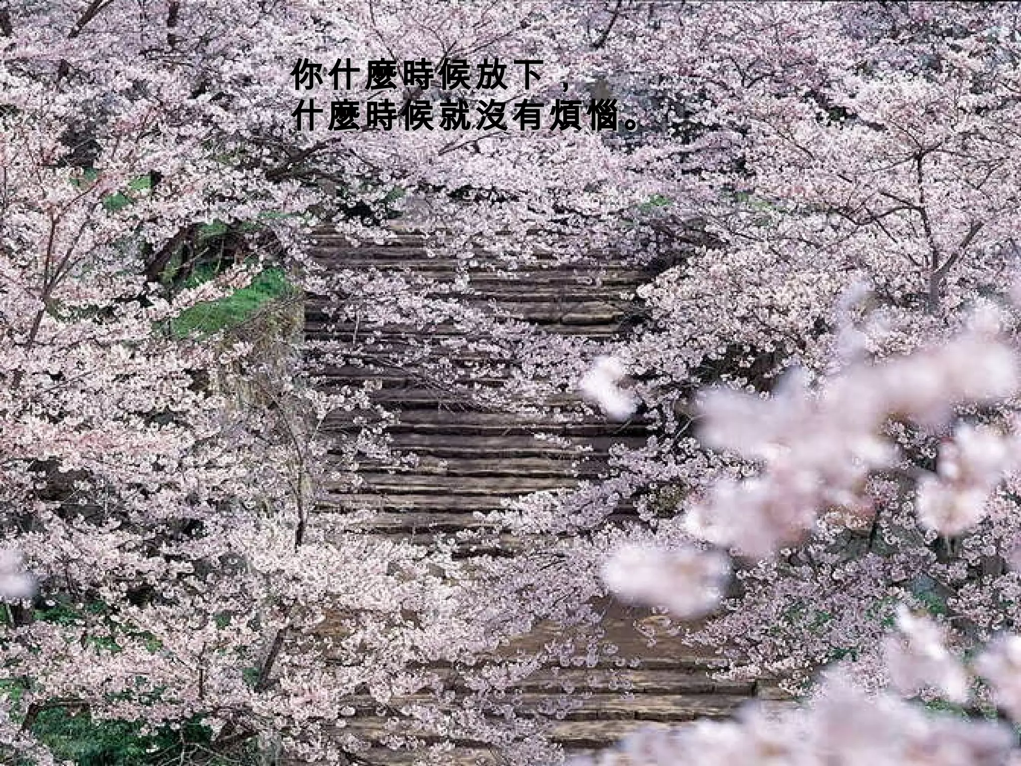 你什麼時候放下， 什麼時候就沒有煩惱。   