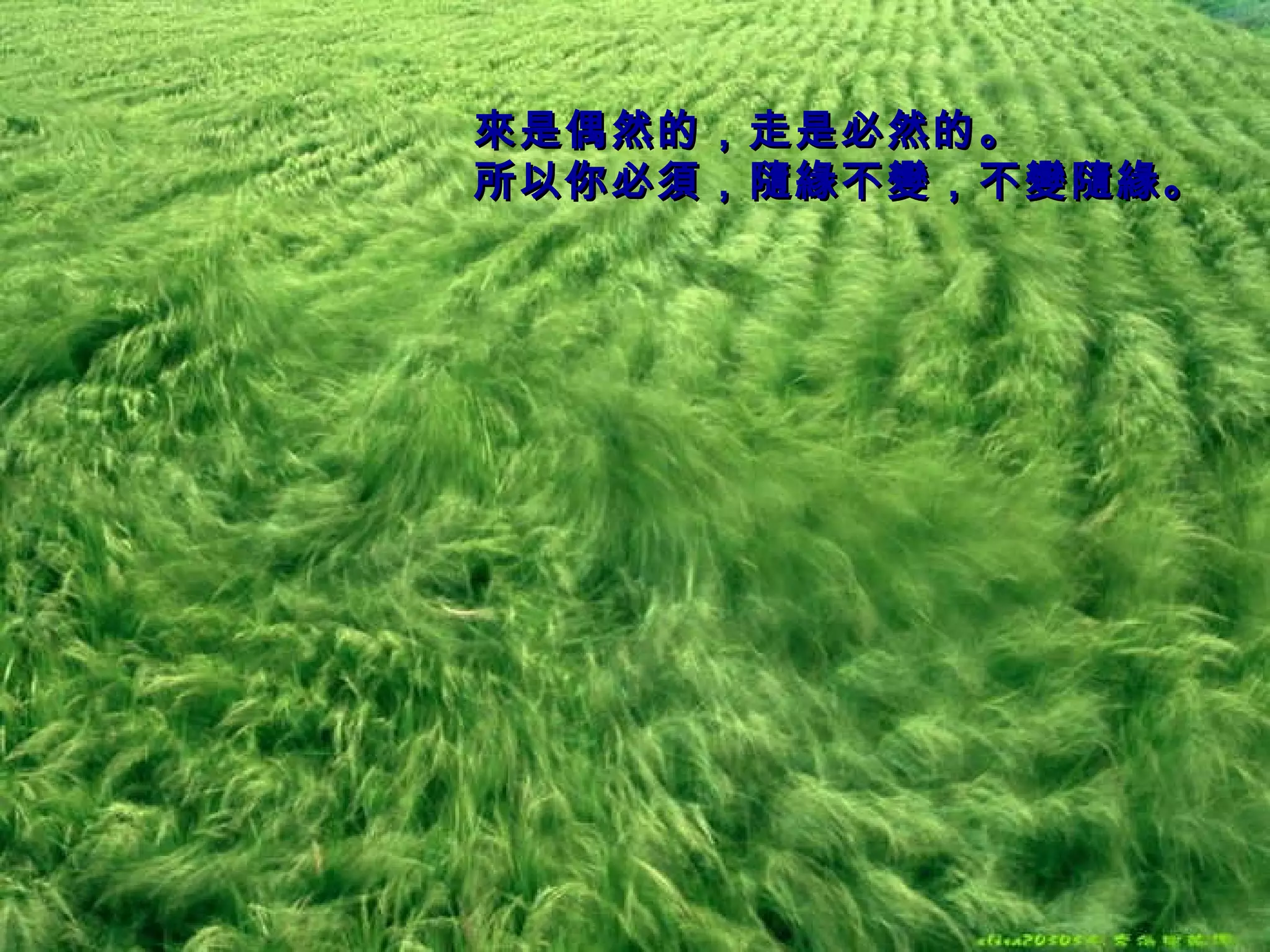 來是偶然的，走是必然的。 所以你必須，隨緣不變，不變隨緣。   