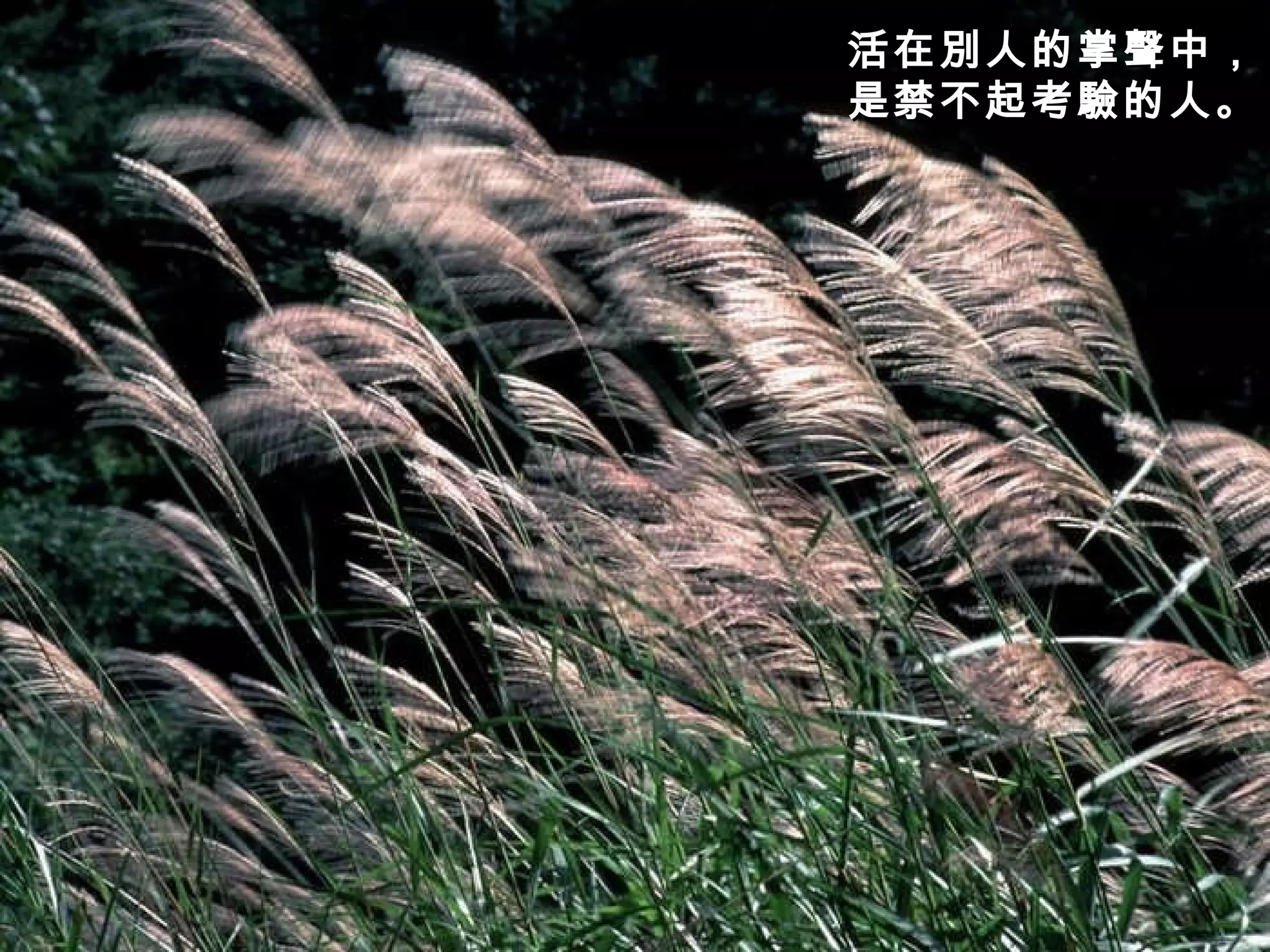 活在別人的掌聲中， 是禁不起考驗的人。   