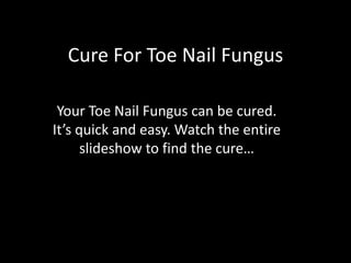 Cure For Toe Nail Fungus Your Toe Nail Fungus can be cured. It’s quick and easy. Watch the entire slideshow to find the cure… 