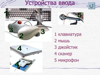 Устройства ввода 1 клавиатура 2 мышь 3 джойстик 4 сканер 5 микрофон 1 2 3 3 4 4 5 