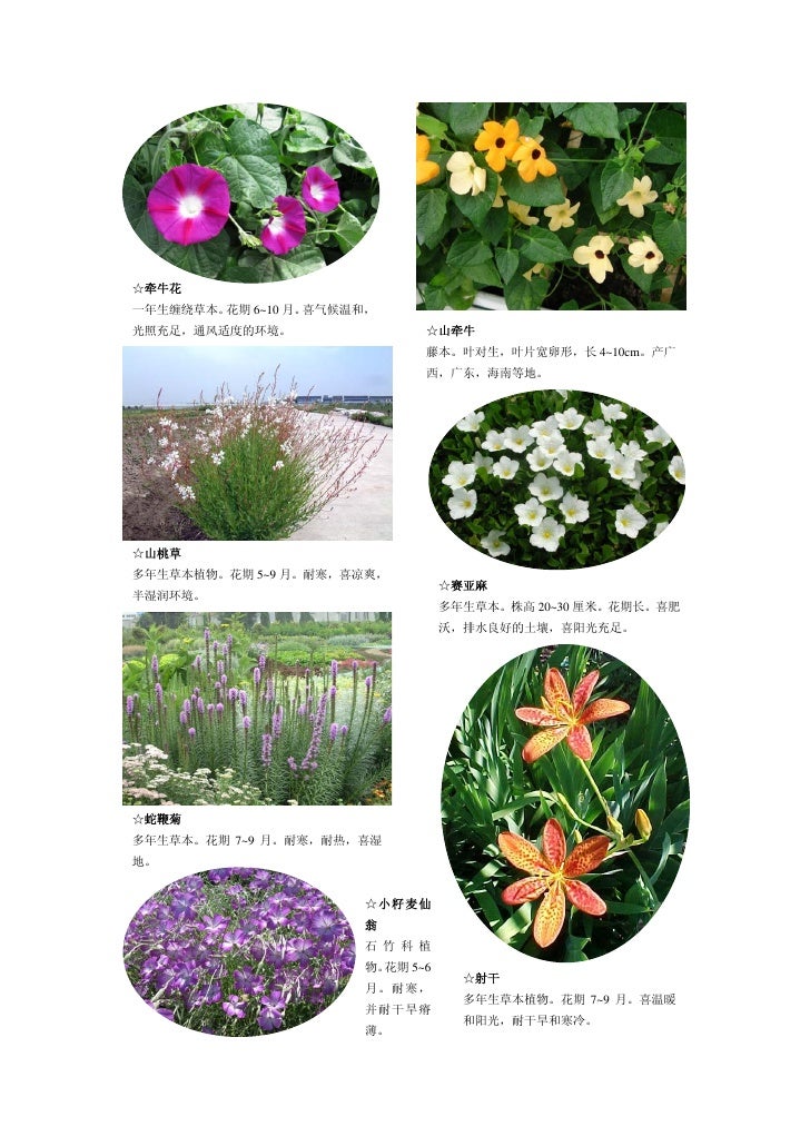 组合1