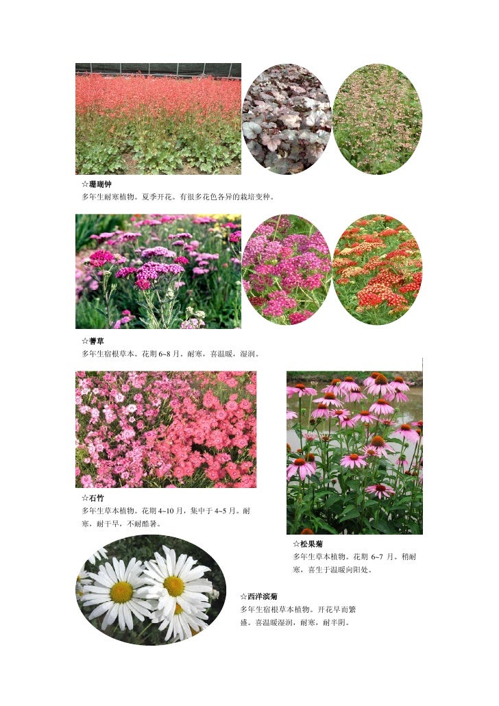 组合1