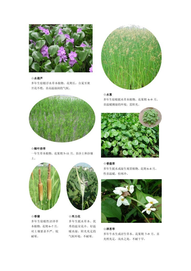 组合1