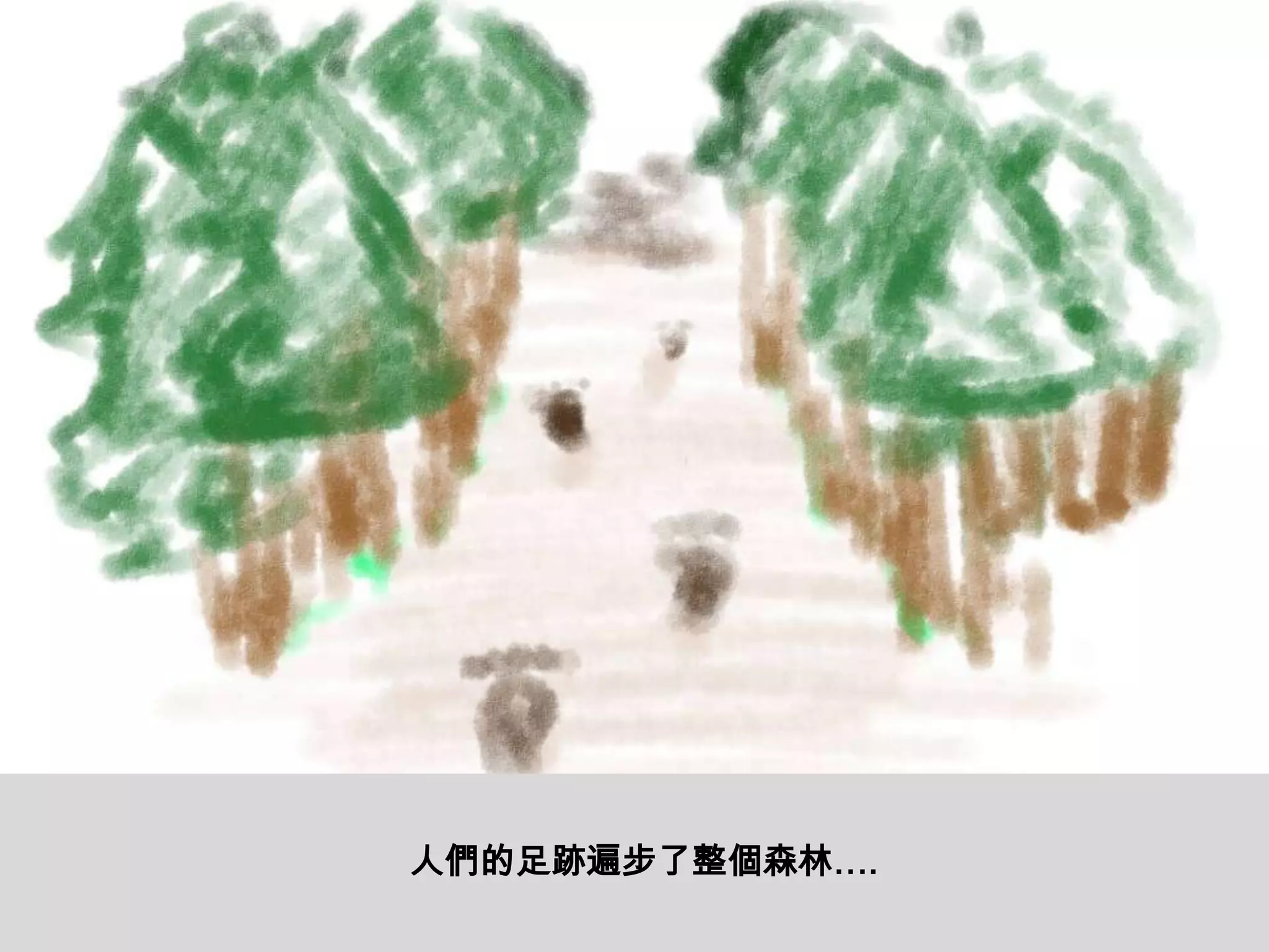 某個地方…..人們的足跡遍步了整個森林….