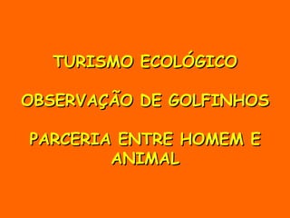 TURISMO ECOLÓGICO OBSERVAÇÃO DE GOLFINHOS PARCERIA ENTRE HOMEM E ANIMAL 