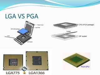 LGA VS PGA