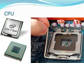 CPU