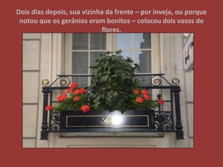 Dois dias depois, sua vizinha da frente – por inveja, ou porque notou que os gerânios eram bonitos – colocou dois vasos de flores.