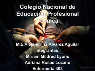 Colegio Nacional de
Educación Profesional
      Técnica


MIE Alejandrina Álvarez Aguilar
         Integrantes:
    Miriam Mildred Lyons
    Adriana Rosas Lozano
        Enfermería 403
 