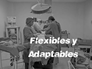 Flexibles y
Adaptables
 