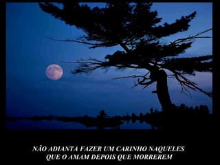 NÃO ADIANTA FAZER UM CARINHO NAQUELES  QUE O AMAM DEPOIS QUE MORREREM 