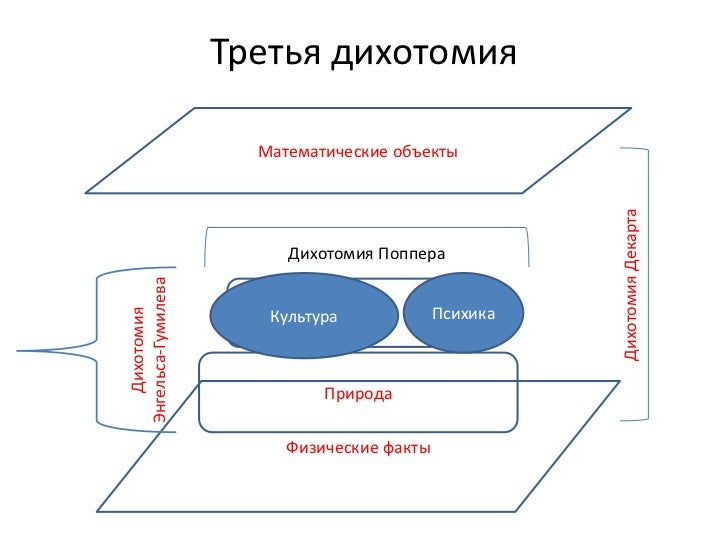 Из чего состоит капот