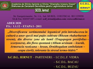 S.C.D.L.
                                                                       IERNUT


      Str. Energeticianului, Nr. 1/A, Jud. MURES, COD FISCAL RO 1229950
     Tel.& Fax. 0265471407, e-mail: scdl_iernut@yahoo.com; www.scdliernut.ro
ADER 2020
P.S.: 1.1.12 – ETAPA I - 2011

 „Diversificarea sortimentului legumicol prin introducerea în
cultură a unor specii mai puţin cultivate (Rheum rhabarbarum –
revent), din diverse zone ale lumii (Tragopogon porrifolius –
   scorţonera), din flora spontană (Allium ursinum – leurdă,
   Armoracia rusticana – hrean, Ornithogalum umbelatum –
         ceapa ciorii), tolerante la stresul termo-hidric”

 S.C.D.L. IERNUT – PARTENERI: – I.C.D.L.F. VIDRA
                                             – S.C.D.L. BACAU
                                             – S.C.D.L. BUZAU
 
