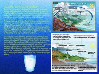 ΚΤΚΛΟ΢ ΣΟΤ ΝΔΡΟΤ- ΠΛΗΡΗ΢ ΠΔΡΙΓΡΑΦΗ
Σν ζπλερέο ηεο θπθιηθήο δηαδηθαζίαο ηνπ θύθινπ ηνπ λεξνύ
επηηπγράλεηαη εμαηηίαο ηεο ειηαθήο αθηηλνβνιίαο. Σν λεξό ηνπ
πιαλήηε αιιάδεη ζπλερώο θπζηθή θαηάζηαζε, από ηε ζηεξεά
κνξθή ηωλ πάγωλ ζηελ πγξή κνξθή ηωλ πνηακώλ, ιηκλώλ θαη
ηεο ζάιαζζαο θαη ηελ αέξηα θαηάζηαζε ηωλ πδξαηκώλ.

Πην ζπγθεθξηκέλα, ιόγω ηεο ζέξκαλζεο θαη ηωλ αλέκωλ ζηελ
επηθάλεηα ηεο γεο ηα λεξά ηεο εμαηκίδνληαη θαη καδεύνληαη ωο
πδξαηκνί δεκηνπξγώληαο ηα ζύλλεθα.
Οη πδξαηκνί ζπκππθλώλνληαη, πγξνπνηνύληαη θαη ζηε ζπλέρεηα
πέθηνπλ ωο βξνρή ή άιιεο κνξθέο πεηνύ, εκπινπηίδνληαο έηζη
ηηο απνζήθεο λεξνύ ηεο γεο, είηε είλαη απηέο επηθαλεηαθέο, όπωο
νη ζάιαζζεο θαη νη ιίκλεο, είηε είλαη ππόγεηεο.

Ο θύθινο ηνπ λεξνύ απνηειεί αληηθείκελν ηνπ επηζηεκνληθνύ
θιάδνπ ηεο πδξνινγίαο γηα όηη ζπκβαίλεη ή παξαηεξείηαη ζην
έδαθνο θαη ηεο Μεηεωξνινγίαο γηα όηη ζπκβαίλεη εμ απηνύ ζηελ
αηκόζθαηξα. Δηδηθόηεξα ζηε Μεηεωξνινγία ν πδξνινγηθόο
θύθινο απνηειεί ην ζπνπδαηόηεξν θαηξηθό θαηλόκελν ωο ζύλνιν
επηκέξνπο θαηλνκέλωλ. Απηόο ξπζκίδεη ηελ πγξαζία ηνπ
εδάθνπο, ηε ιακπξόηεηα ηεο εκέξαο, θαη ηέινο ηε ζπρλόηεηα θαη
έληαζε ηωλ πδξνκεηεώξωλ, εθηόο ηνπ γηγάληηνπ εθείλνπ έξγνπ
ηεο κεηαθνξάο ελέξγεηαο από ηα κηθξά ζηα κεγάια γεωγξαθηθά
πιάηε.
 