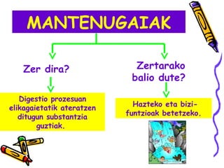 MANTENUGAIAK
Zer dira?
Digestio prozesuan
elikagaietatik ateratzen
ditugun substantzia
guztiak.
Zertarako
balio dute?
Hazteko eta bizi-
funtzioak betetzeko.
 