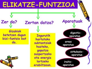 ELIKATZE-FUNTZIOA
Gizakiok
betetzen dugun
bizi-funtzio bat
da.
Zer da? Zertan datza?
Ingurutik
hartutako
subtantziak
hazteko,
goputza
suspertzeko
eta energia
lortzeko
erabiltzean.
Aparatuak
Ddigestio-
aparatua
arnas
aparatua
zirkulazio-
aparatua
iraitz-
aparatua
 