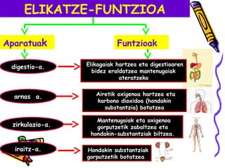 ELIKATZE-FUNTZIOA
Aparatuak
digestio-a.
Funtzioak
Elikagaiak hartzea eta digestioaren
bidez eraldatzea mantenugaiak
ateratzeko
arnas a. Airetik oxigenoa hartzea eta
karbono dioxidoa (hondakin
substantzia) botatzea
zirkulazio-a.
Mantenugaiak eta oxigenoa
gorputzetik zabaltzea eta
hondakin-substantziak biltzea.
iraitz-a. Hondakin substantziak
gorputzetik botatzea.
 