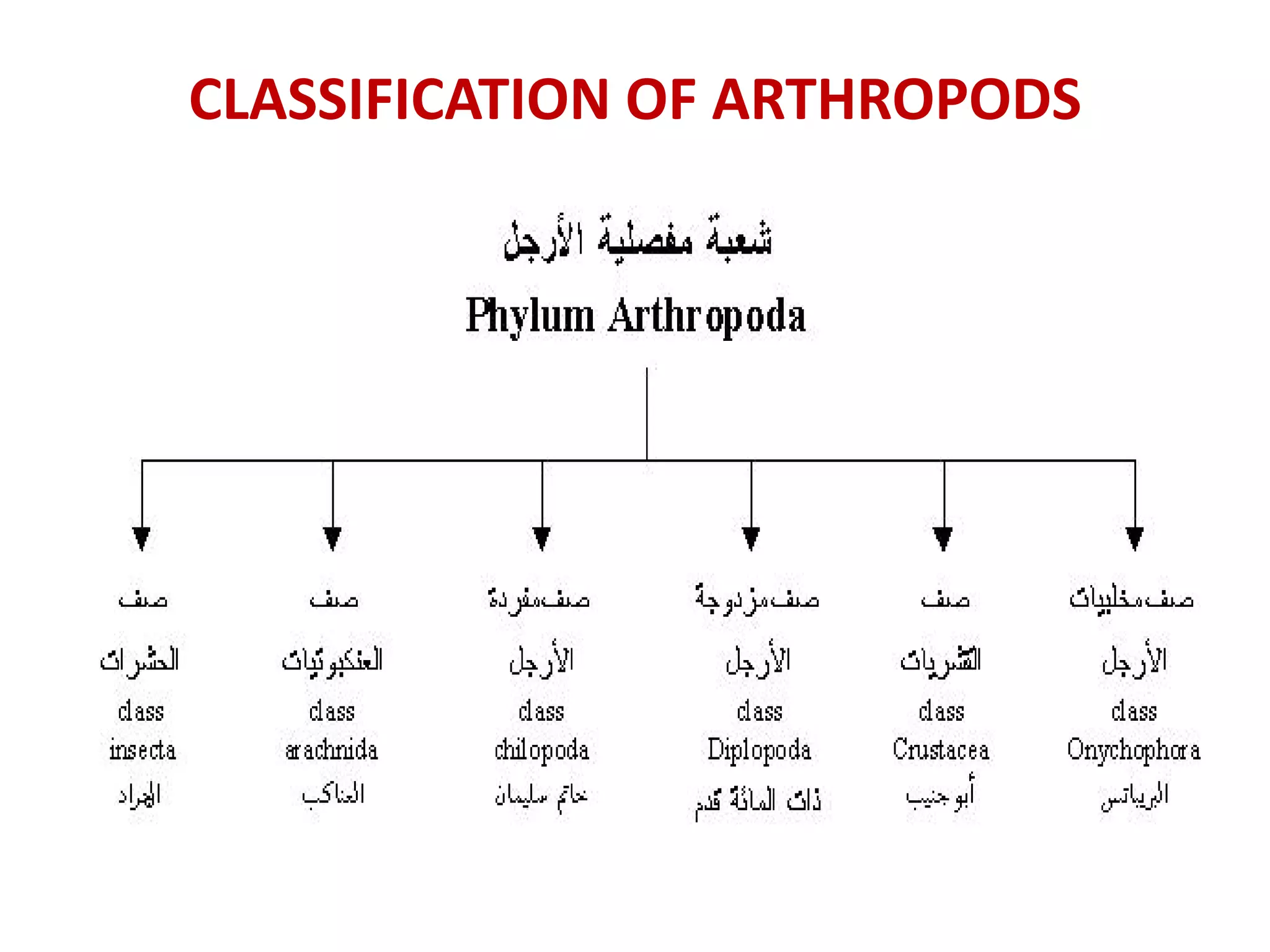 CLASSIFICATION OF ARTHROPODS
 