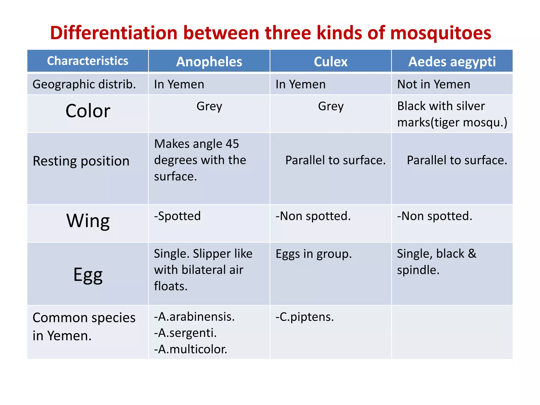 Differentiation between three kinds of mosquitoes
Aedes aegypti
Culex
Anopheles
Characteristics
Not in Yemen
In Yemen
In Yemen
Geographic distrib.
Black with silver
marks(tiger mosqu.)
Grey
Grey
Color
Parallel to surface.
Parallel to surface.
Makes angle 45
degrees with the
surface.
Resting position
-Non spotted.
-Non spotted.
-Spotted
Wing
Single, black &
spindle.
Eggs in group.
Single. Slipper like
with bilateral air
floats.
Egg
-C.piptens.
-A.arabinensis.
-A.sergenti.
-A.multicolor.
Common species
in Yemen.
 